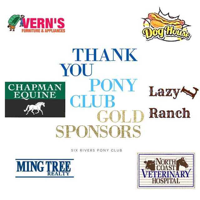 Thank you to the Summer Frolic 2021 sponsors. Various company logos.